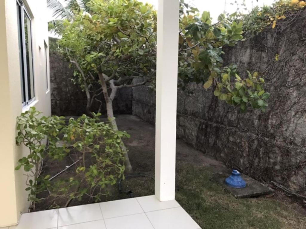  Canária Q5 L1