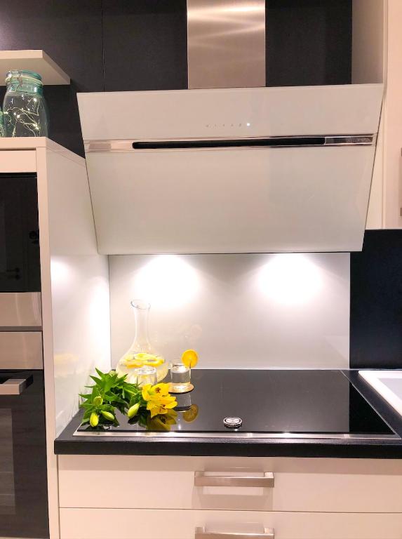 Kuchyň nebo kuchyňský kout v ubytování Ferienwohnung Domizil am Delft Emden
