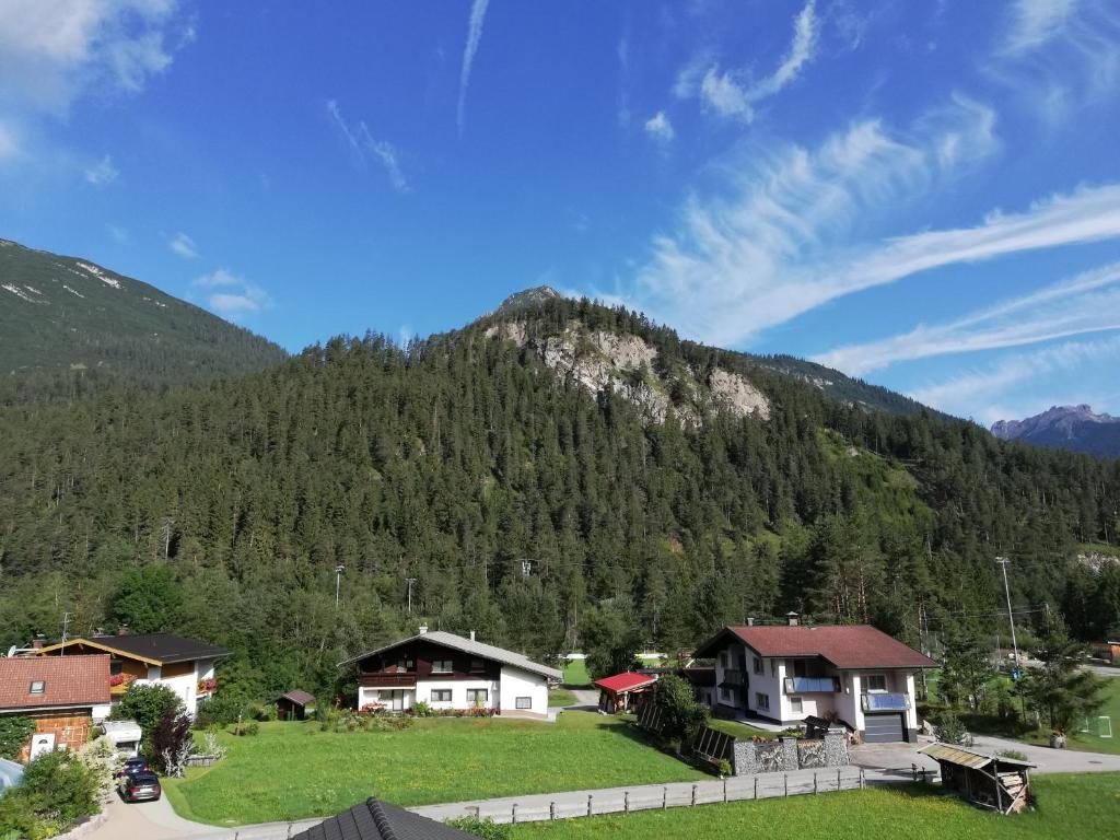 Příroda nedaleko apartmánu