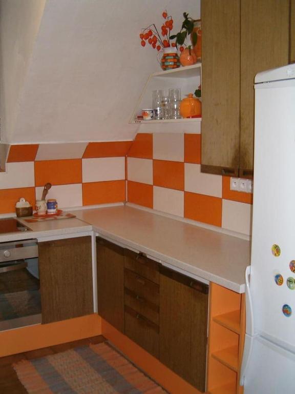 Kuchyň nebo kuchyňský kout v ubytování Apartma Šťastný II