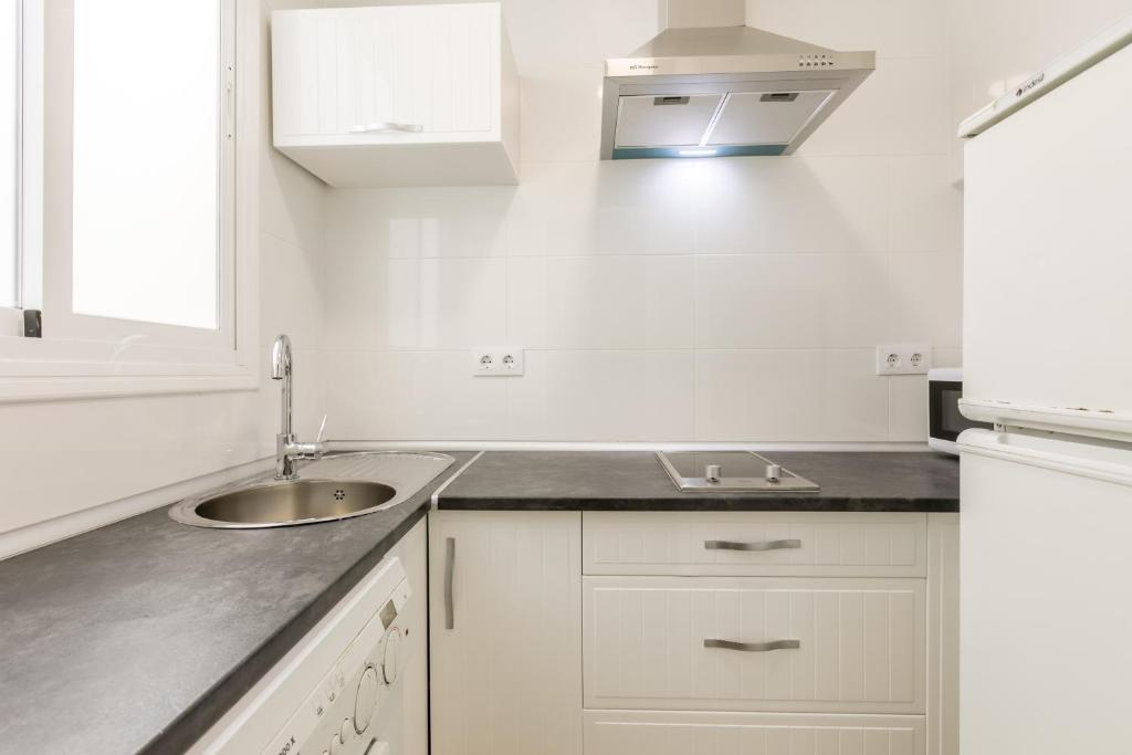A kitchen or kitchenette at AoA San Lorenzo Apartment