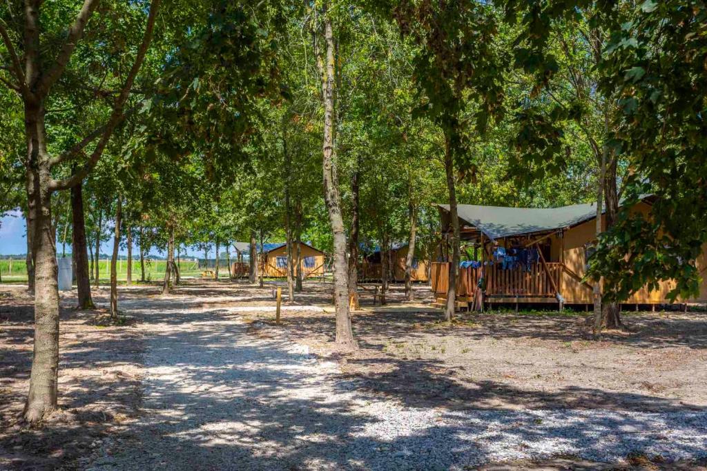 Agriturismo Tenuta Regina - Glamping luxury lodges and apartments - Tent