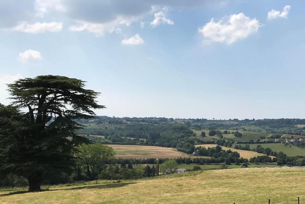 un árbol en la cima de una colina en Le Pressoir du Château de Neuville, en Livarot