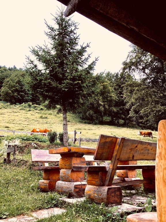 Zahrada ubytování Mountain Lodge Suška Koča