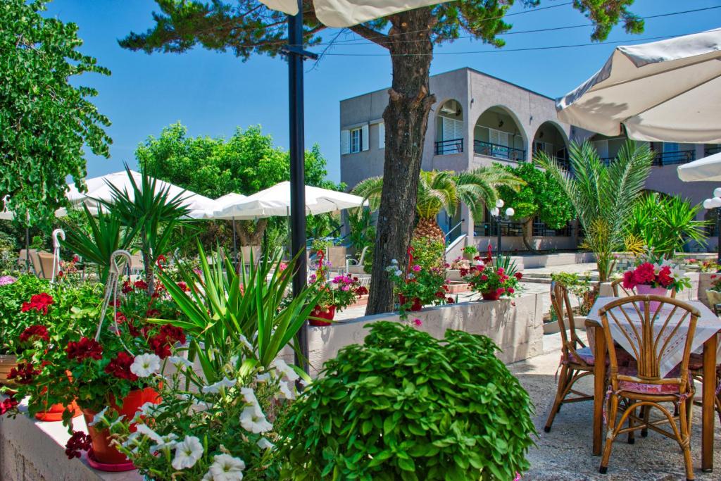 Zahrada ubytování Hotel Barracuda
