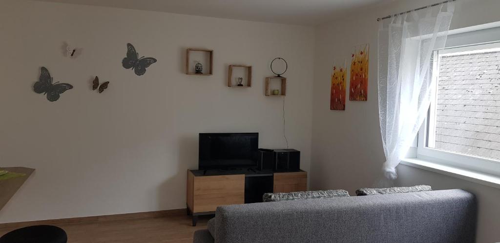 TV a/nebo společenská místnost v ubytování Ferienwohnung Tauschmann