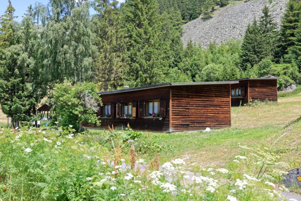 Příroda nedaleko motelu