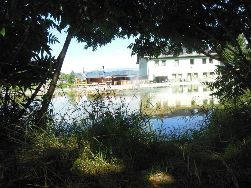 Příroda nedaleko apartmánu