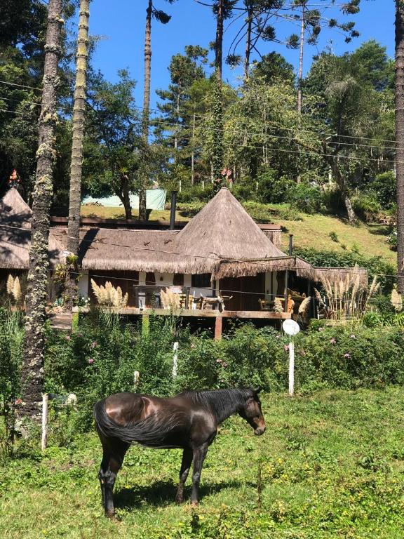  Cabana Do Zuza