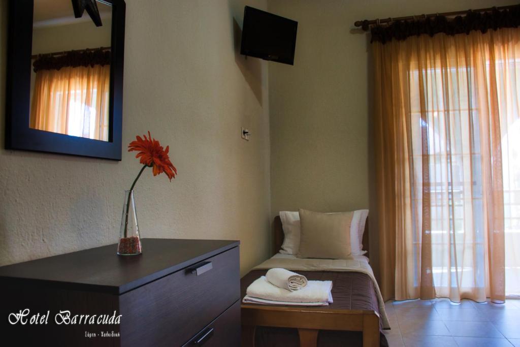 TV a/nebo společenská místnost v ubytování Hotel Barracuda