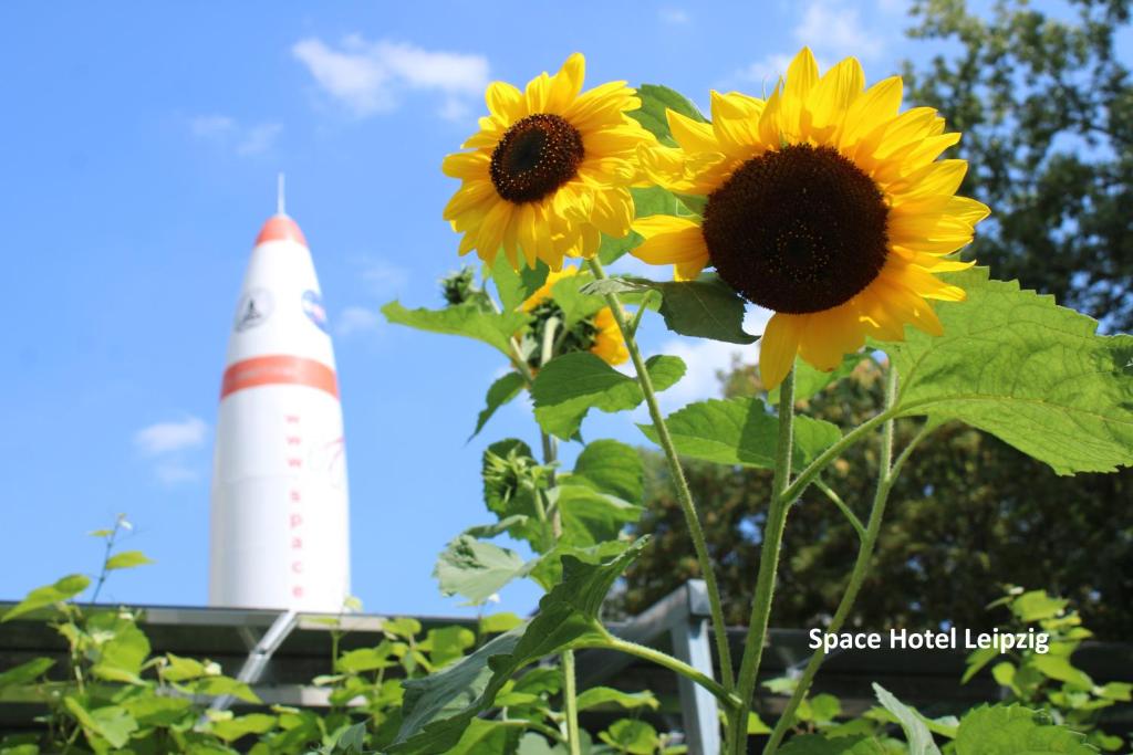 Space Hotel im Campus der JvP Schule - Resim 44