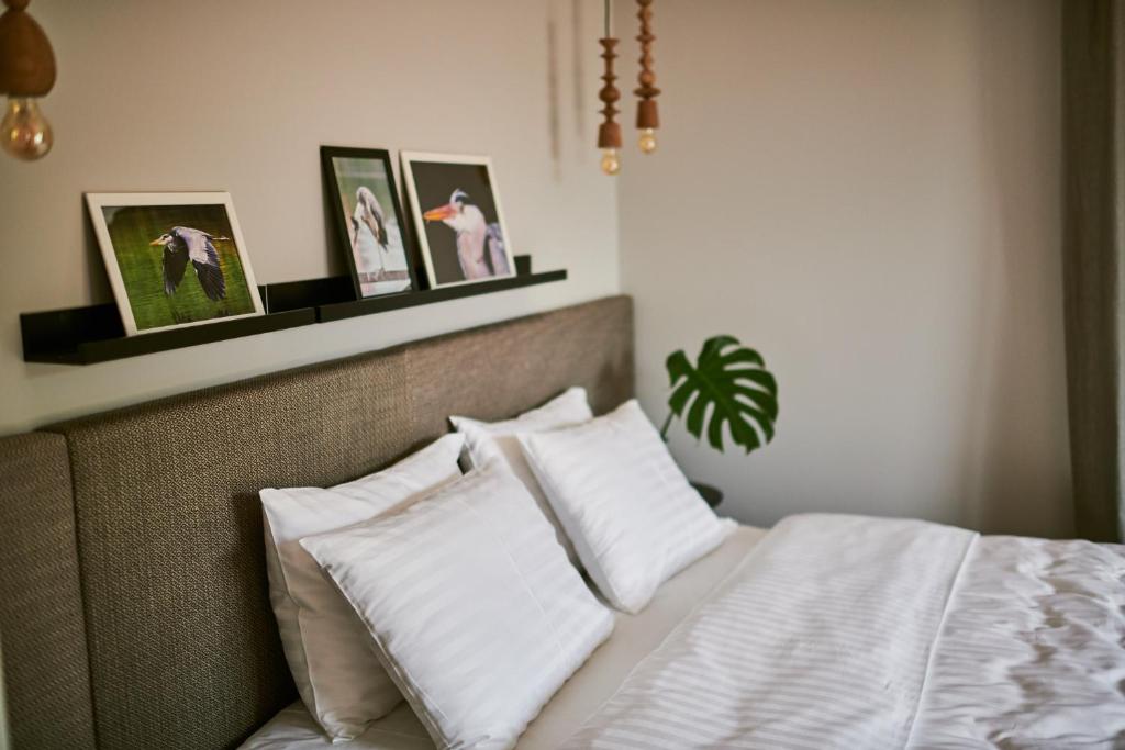 Barono Vila - Apartment With Lake View