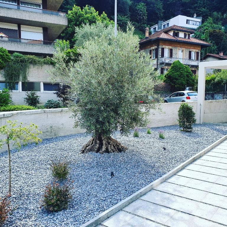 Zahrada ubytování Locanda Marco