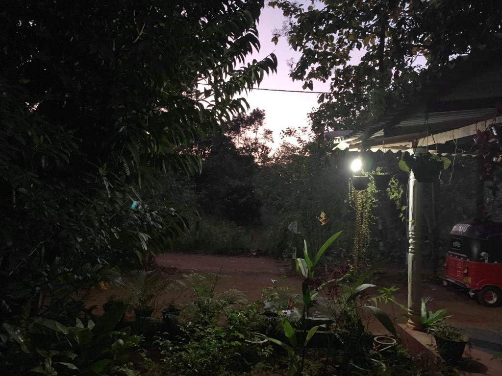 Zahrada ubytování Manju Homestay