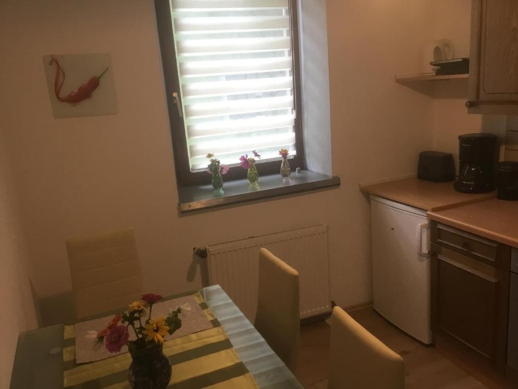 Kuchyň nebo kuchyňský kout v ubytování Ferienwohnung Poganz
