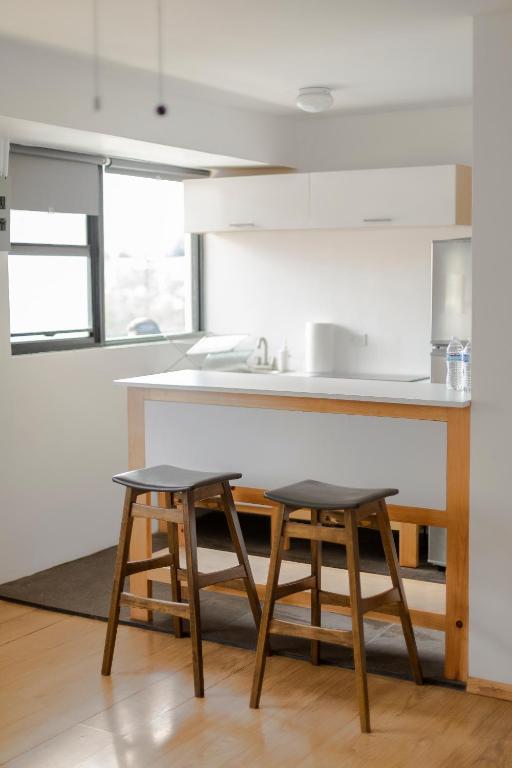 Kuchyň nebo kuchyňský kout v ubytování Coyote Lofts-Estacion Federal