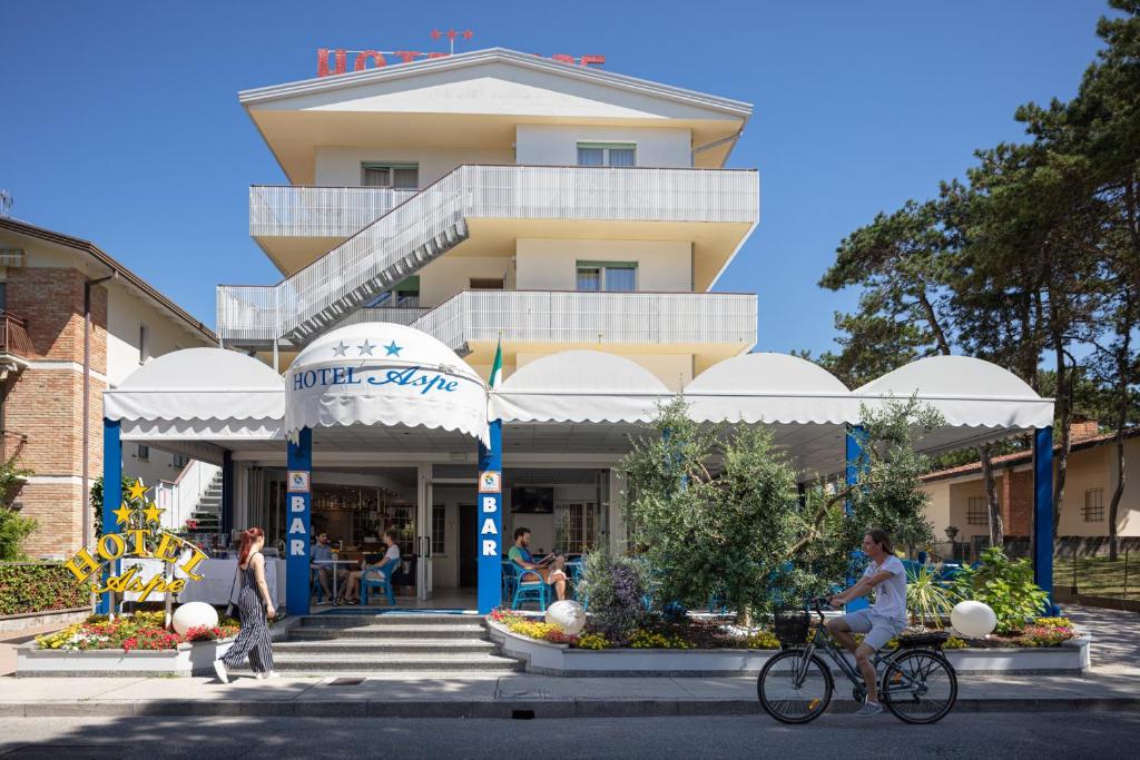 Hosté ubytování Hotel Aspe