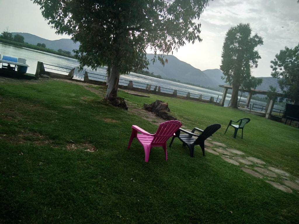 モンテ・サン・ビアージョにあるMagia sul Lago di Fondiの水辺の芝生に座る公園のベンチ3台
