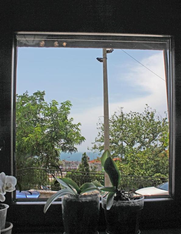a window with two plants in front of it at Victoria's Apartment in Thessaloniki