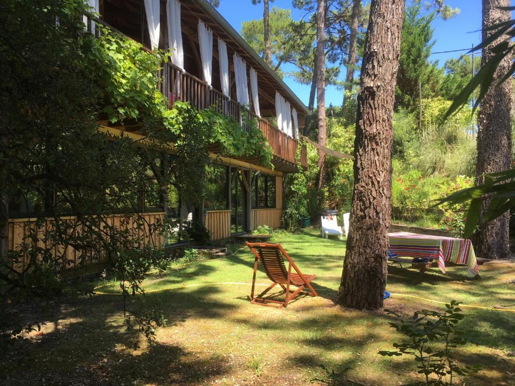 una casa con un banco y un árbol en el patio en la maison face au port en Lège-Cap-Ferret