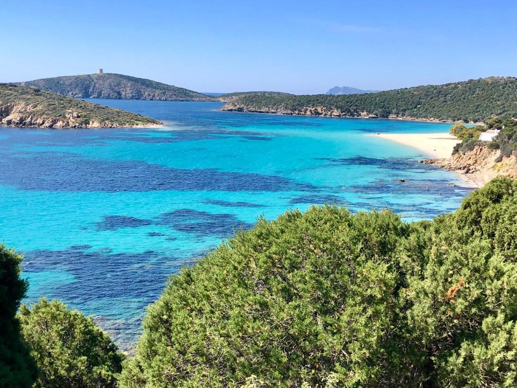 a view of a beach with blue water and trees at Villa Perdalonga, Vista Mare Sea View Tuerredda in Teulada