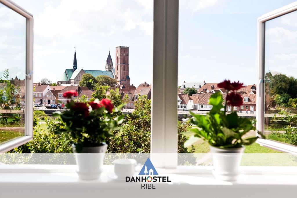 Danhostel Ribe في ريبي: نافذة بها زهور على حافة النافذة
