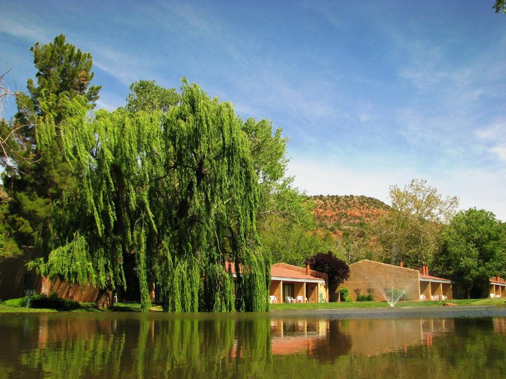 a weeping willow tree next to a house and a lake at Villas at Poco Diablo, a VRI resort in Sedona