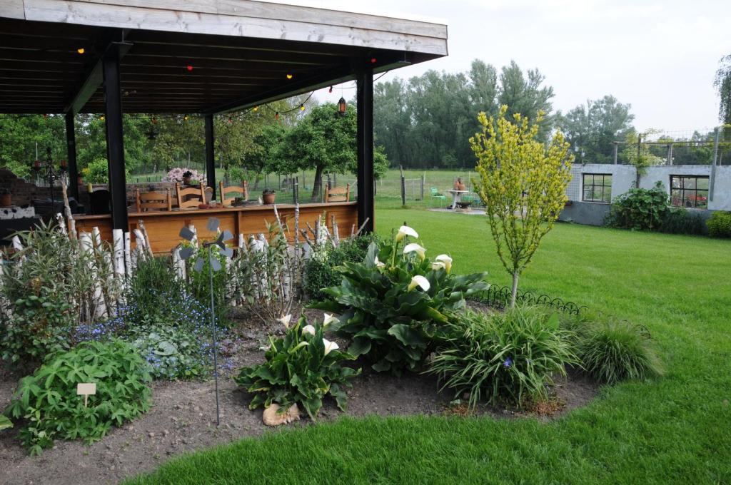 Zahrada ubytování Casa Tranquila
