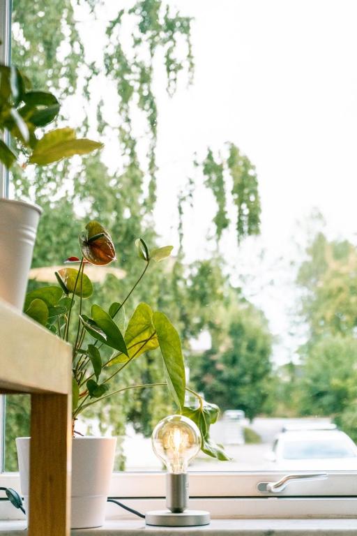 Zahrada ubytování EttSmart Hotell