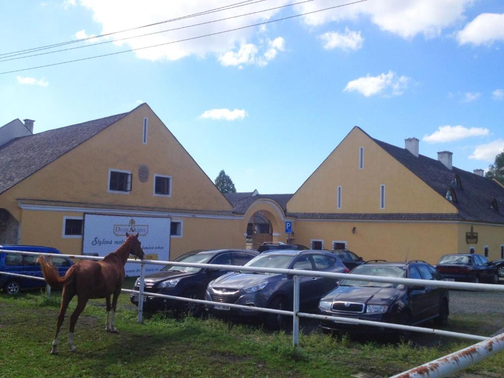 Zvířata v hotelu nebo okolí