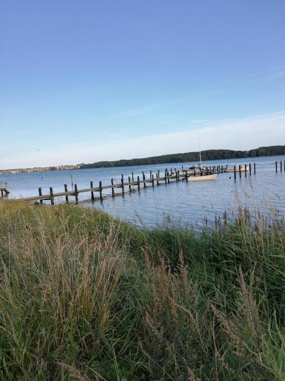 a dock on a lake with a boat in the water at Tankefuld Living's Horsefarm in Svendborg