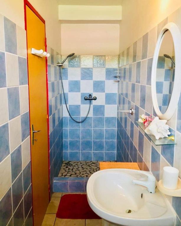 a bathroom with a shower and a sink and a mirror at Le Saintois in Terre-de-Bas