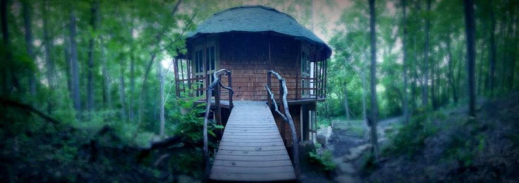 een loopbrug naar een kooi in een bos bij Lost River Hostel in French Lick