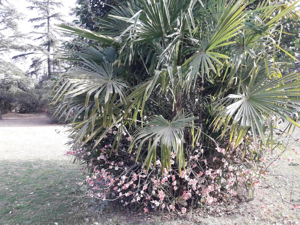 Hotel de Campo Posada la Esperanza