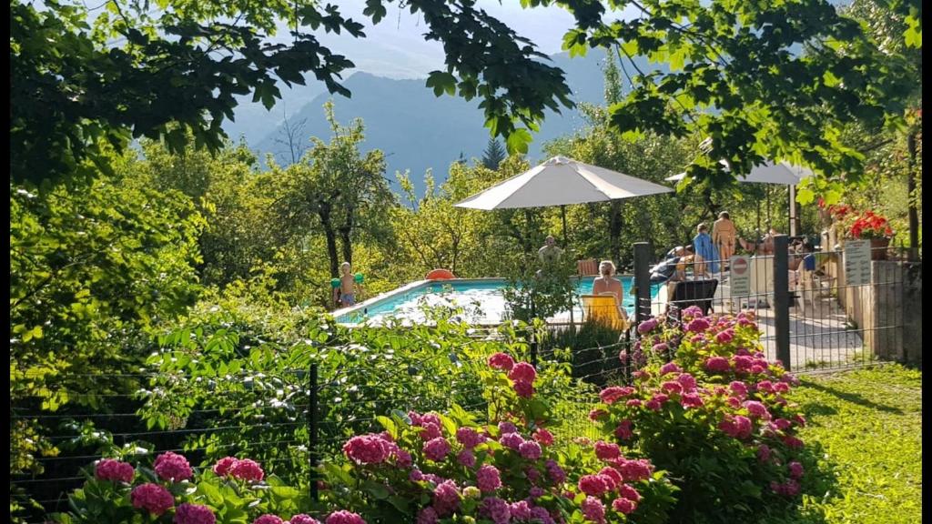 a garden with flowers and a swimming pool at Podere Montestuccioli in Cutigliano