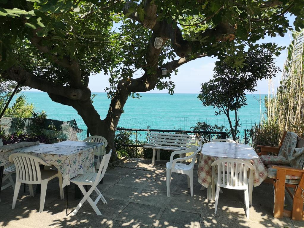 une table et des chaises sous un arbre donnant sur l'océan dans l'établissement vacanze al Mare appartamento in villa, à Torino di Sangro