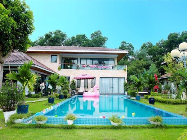 Happy Villa Owner - Villa De Luxe