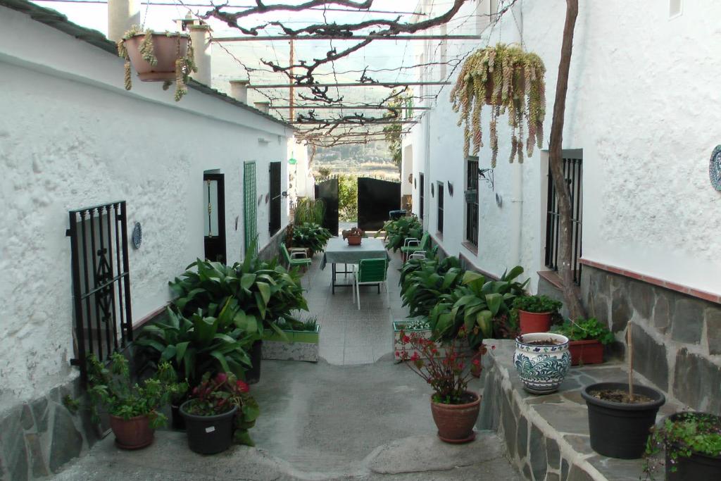 einen Innenhof mit Pflanzen und einem Tisch in einem Gebäude in der Unterkunft La Granada in Órgiva