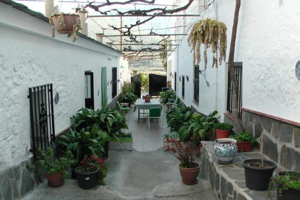 Fotografie z fotogalerie ubytování La Granada v destinaci Órgiva