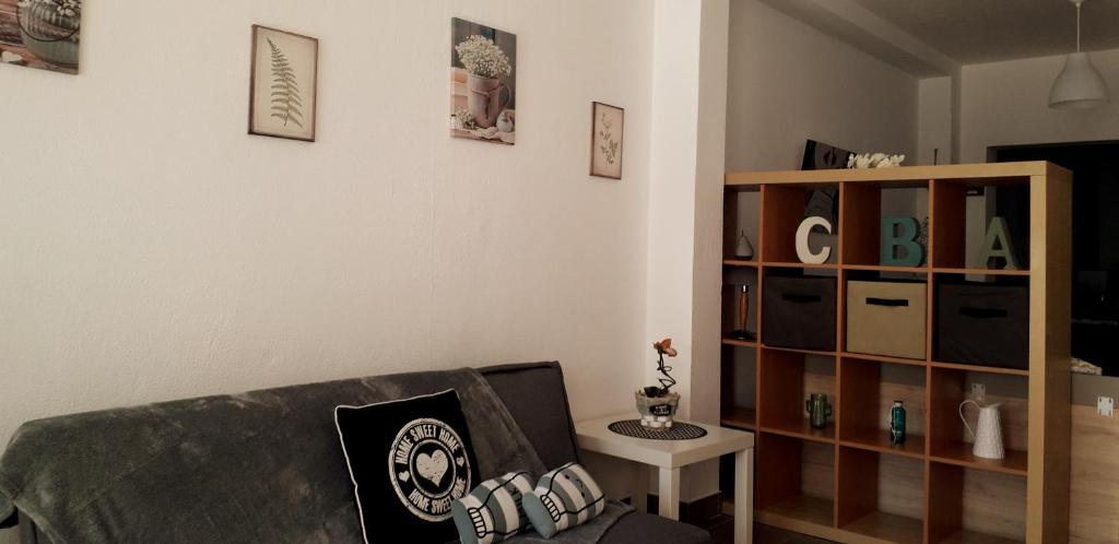 a living room with a couch and a book shelf at Sadinahome in Setúbal
