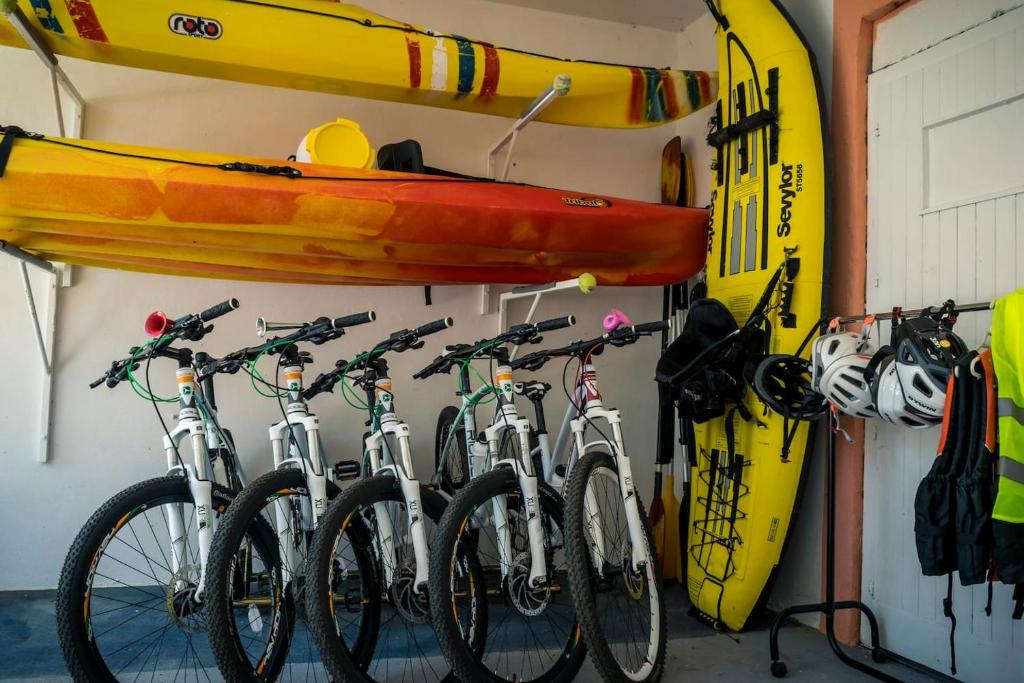 Jazda na bicykli v okolí ubytovania Vacation house near sea & beaches with HEATED POOL & BBQ