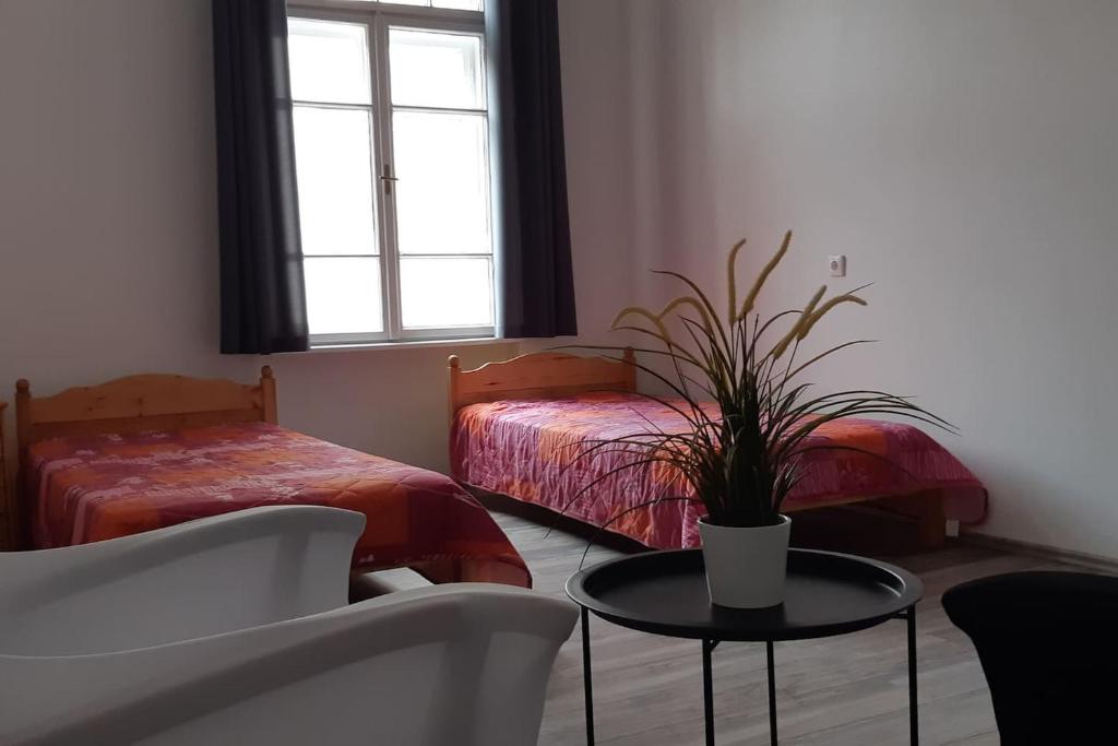 a room with two beds and a table with a potted plant at Elisabeth Apartman in Sopron