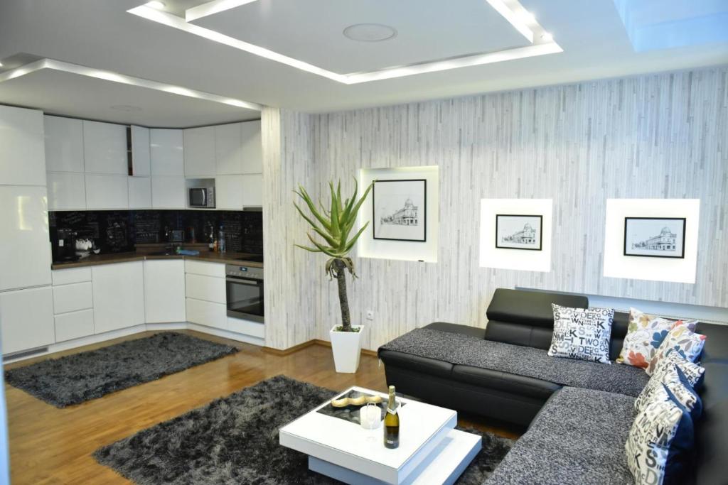 Kuchyň nebo kuchyňský kout v ubytování Apartman Centar
