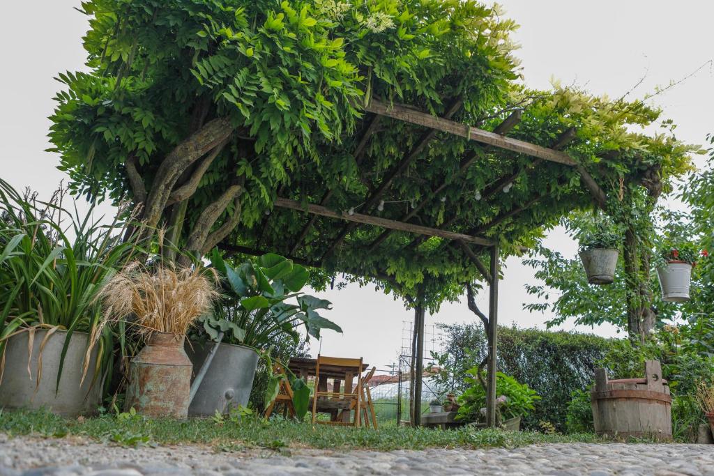 Il Germano Reale - 18