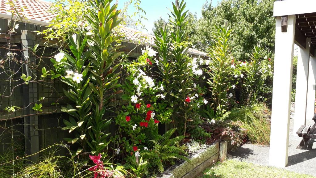 Stylish Matua Apartment - Resim 14