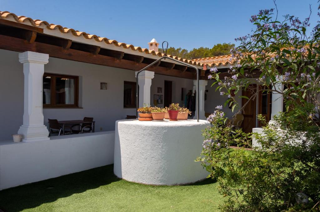 A garden outside Es Pas Formentera Agroturismo