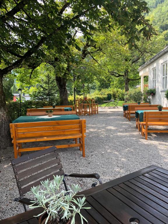 Zahrada ubytování Ennstalerhof