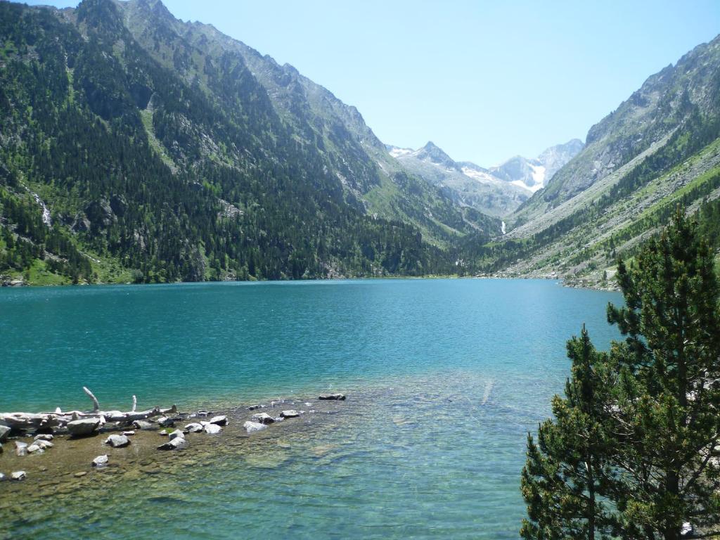 a group of animals standing on the shore of a lake at Appartement Cauterets in Cauterets