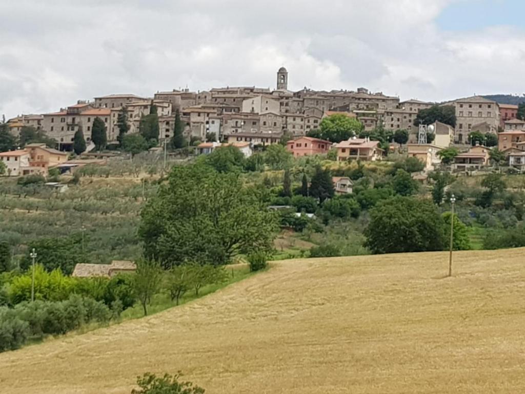 una città in cima a una collina con un campo di Al Ginepro a Montecchio