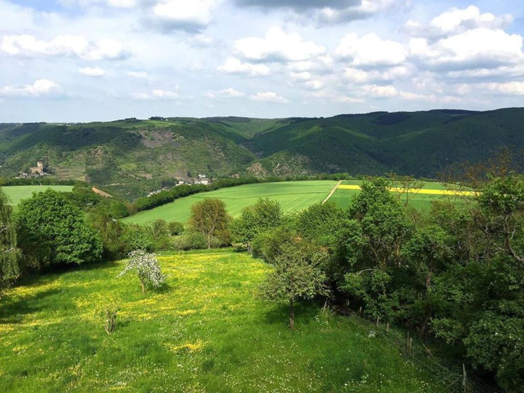 a green field with trees and mountains in the background at Exklusive Ferienwohnung Lurelei 150 qm mit Traumblick 4 bis 9 P in Bacharach